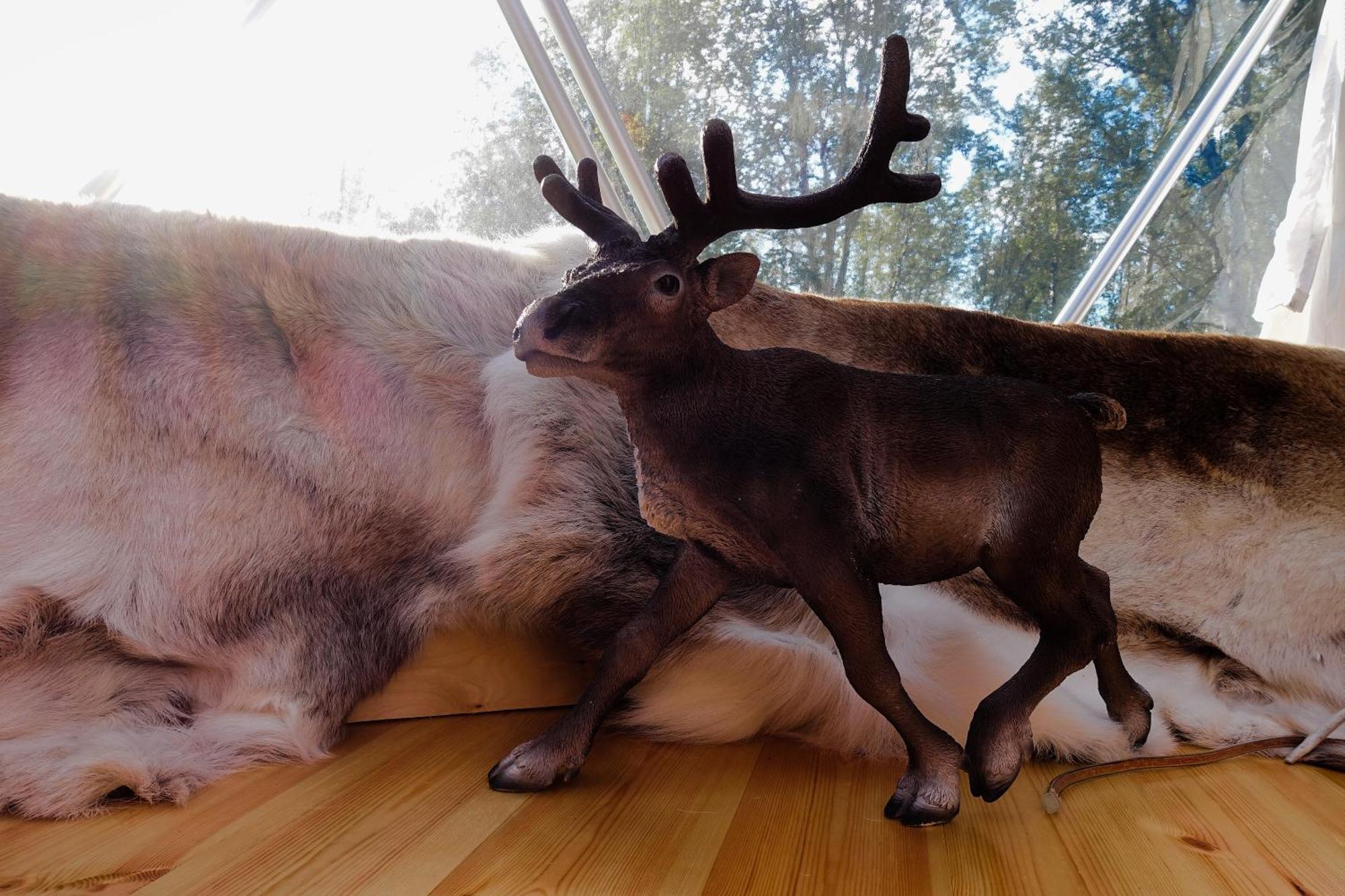 Wild Caribou Dome Hotel Lakselv Buitenkant foto